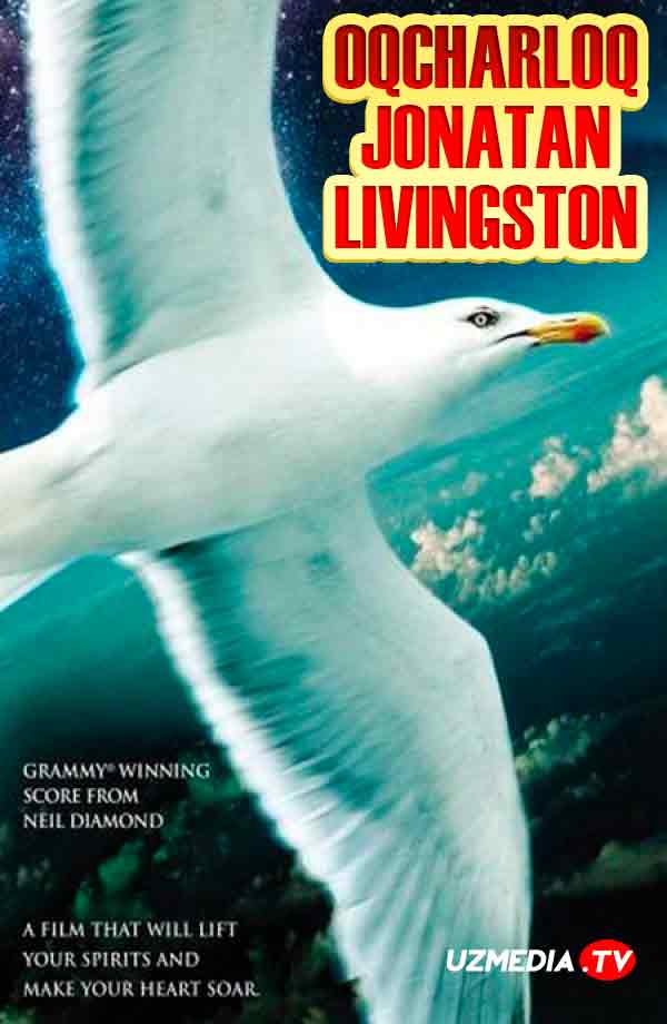 Oqcharloq Jonatan Livingston AQSh retro filmi Uzbek tilida O'zbekcha 1973 tarjima kino Full HD tas-ix skachat