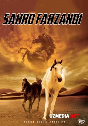 Sahro / Saxro farzandi Uzbek tilida O'zbekcha tarjima kino 2003 HD tas-ix skachat