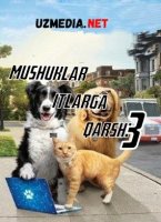 Mushuklar itlarga qarshi 3 / Mushuk it jangi 3 Uzbek tilida O'zbekcha tarjima kino 2020 HD tas-ix skachat