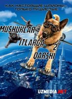 Mushuklar itlarga qarshi 2 / Mushuk it jangi 2 Uzbek tilida O'zbekcha tarjima kino 2010 HD tas-ix skachat