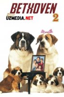 Bethoven 2 / Betxoven 2 Uzbek tilida O'zbekcha tarjima kino 1993 HD tas-ix skachat