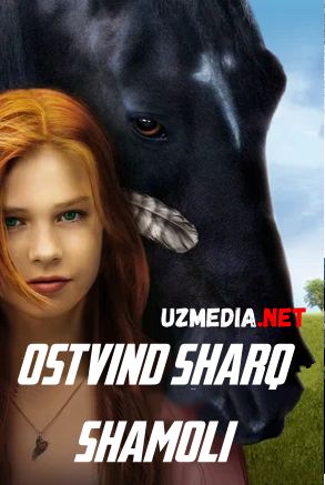 Ostvind: Sharq shamoli Uzbek tilida O'zbekcha tarjima kino 2013 HD tas-ix skachat