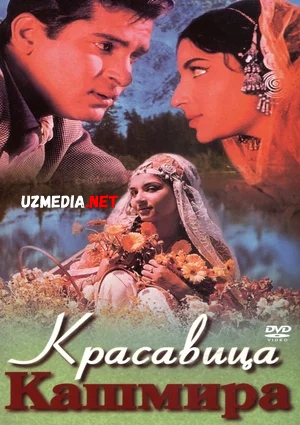 Kashmir go'zali Hind kino Uzbek tilida O'zbekcha 1964 tarjima kino Full HD skachat