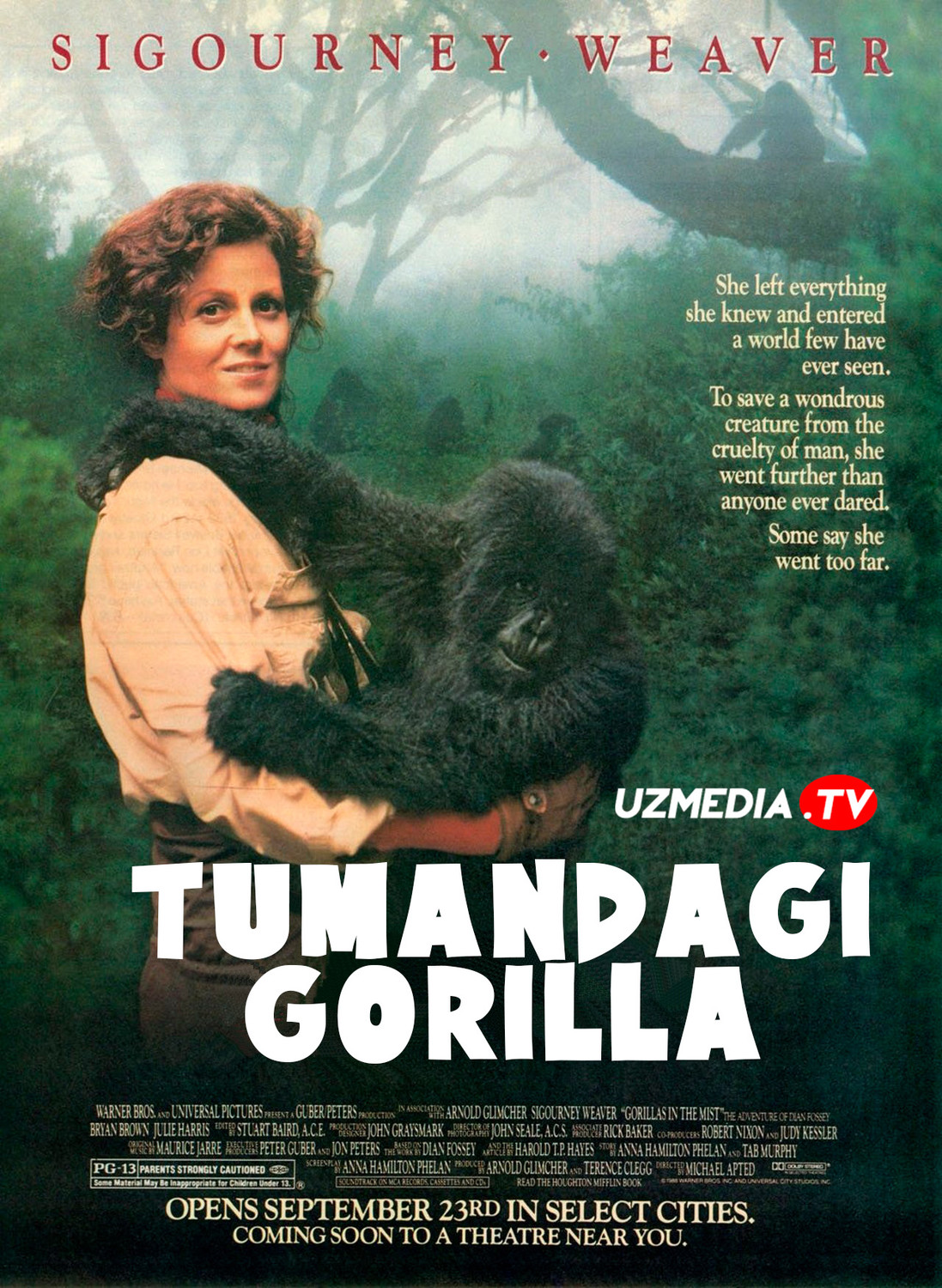 Tumandagi Gorilla Uzbek tilida O'zbekcha tarjima kino 1988 Full HD skachat