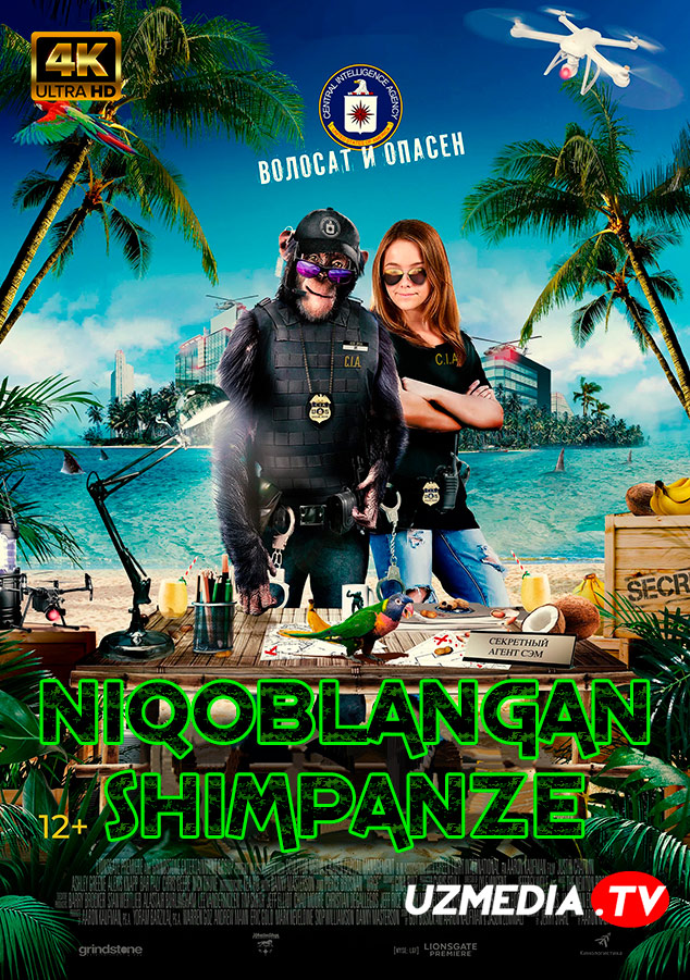 Niqoblangan shimpanze / Niqobdagi shimpanze Uzbek tilida O'zbekcha 2021 tarjima kino 4K UHD skachat