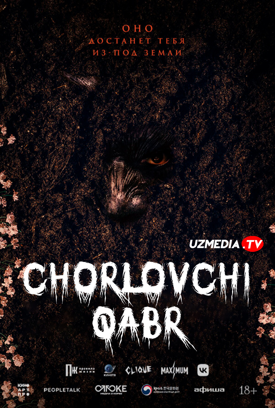 Chorlovchi qabr (Koreya Ujas, Qo'rqinchli filmi) Uzbek tilida O'zbekcha 2024 tarjima kino Full HD tas-ix skachat